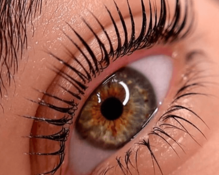 Lifting de pestañas vegano (con tinte)