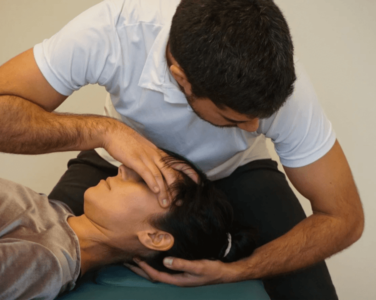 Consulta ingresos nuevos 2026