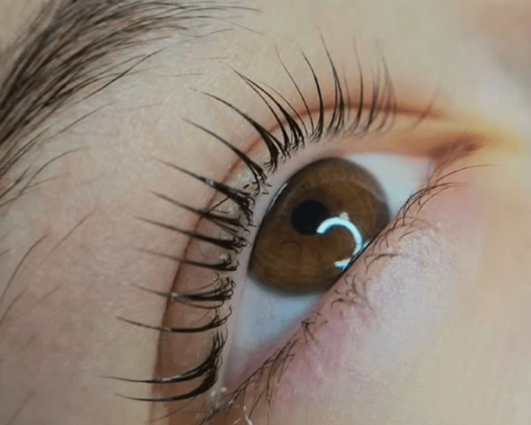 Lifting de pestañas Coreano