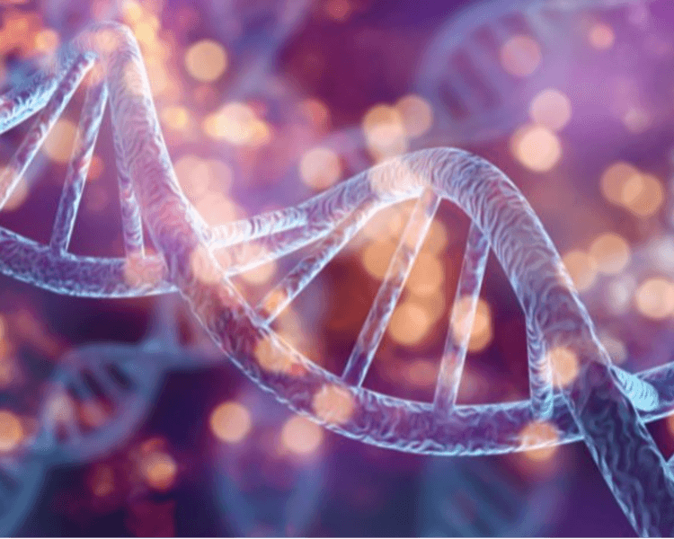 Análisis de Test Epigenetico