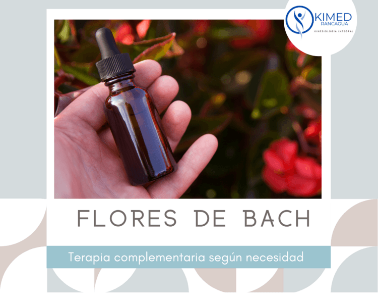 Flores de Bach