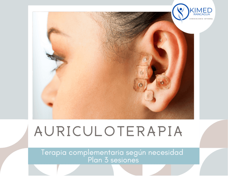 Pack Auriculoterapia