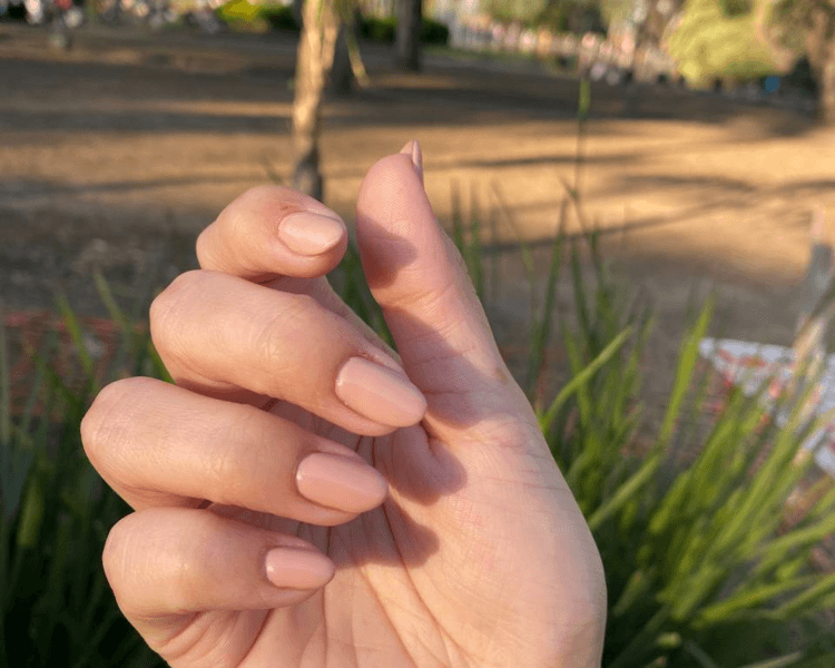 Belleza de manos tradicional