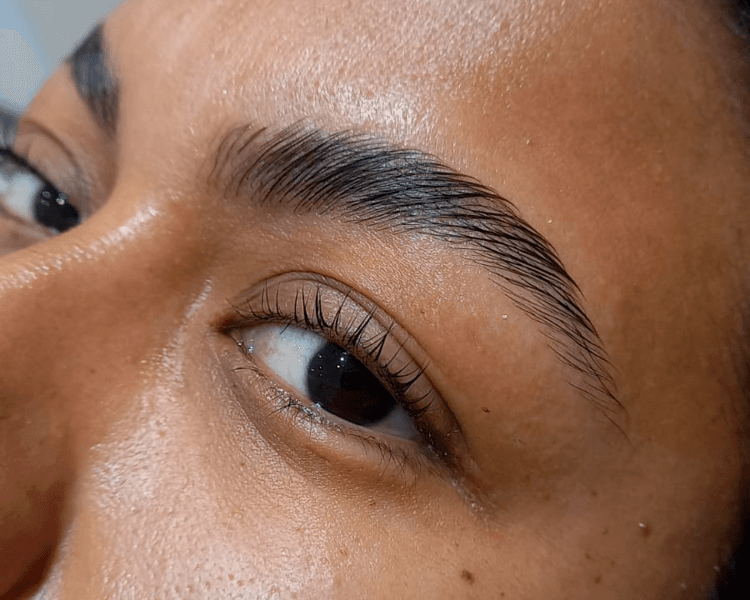 Laminado Nutritivo de Cejas