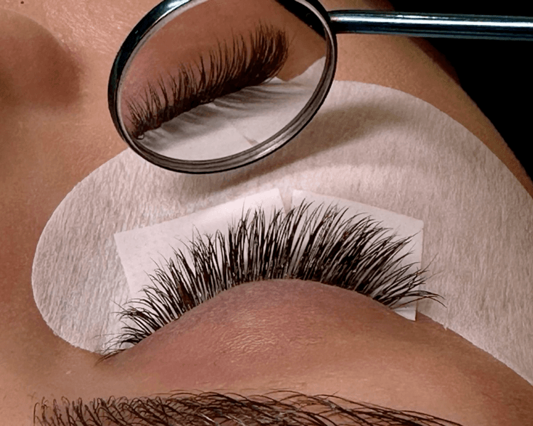 VOL HOLLYWOOD W6D + CEJAS (LAMINADO O HENNA)