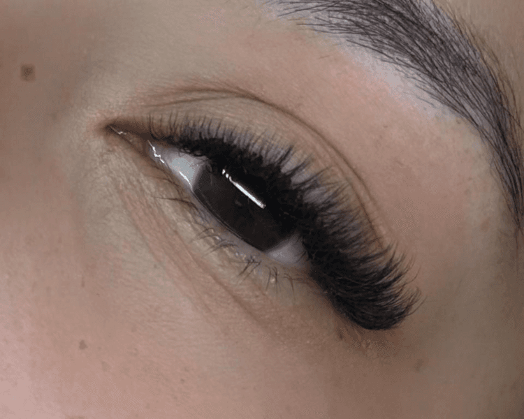 VOLUMEN HOLLYWOOD 6D W