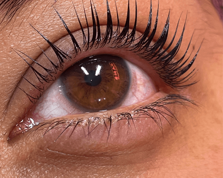 LASH LIFTING + BOTOX