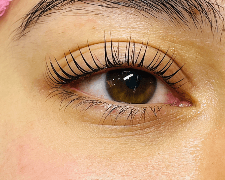 LASH BOTOX + TINTE