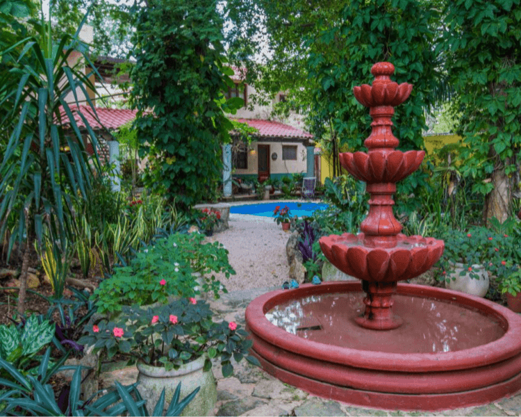 Consulta en Valladolid Casa Quetzal