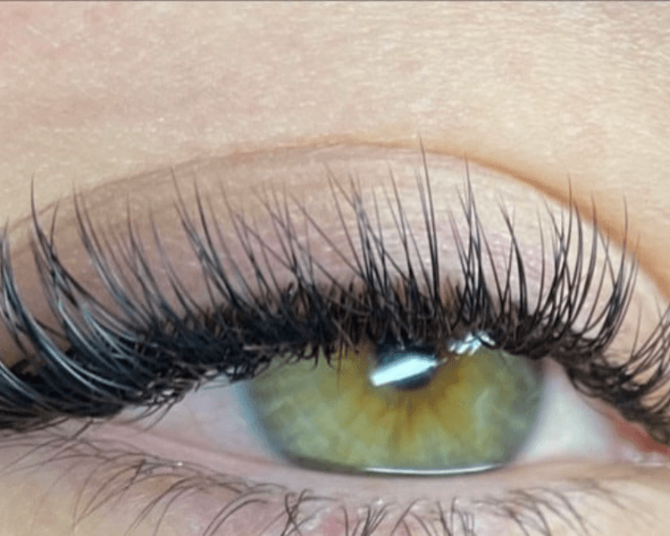 Extensiones CLÁSICAS