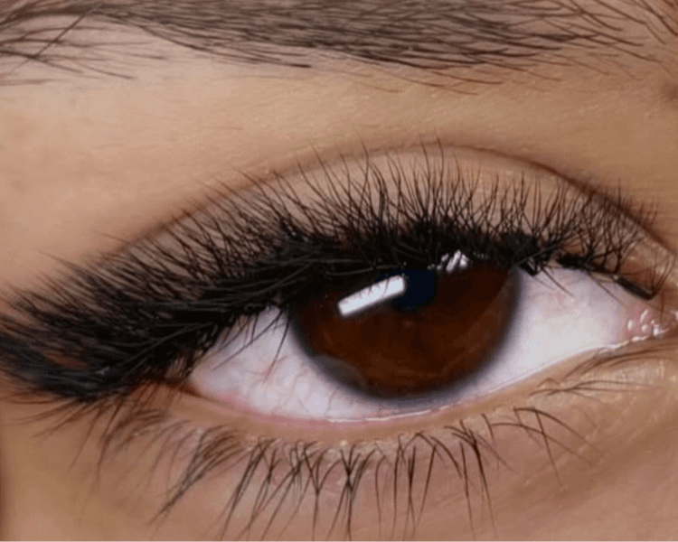 Extensiones FOXY (cualquier variedad)