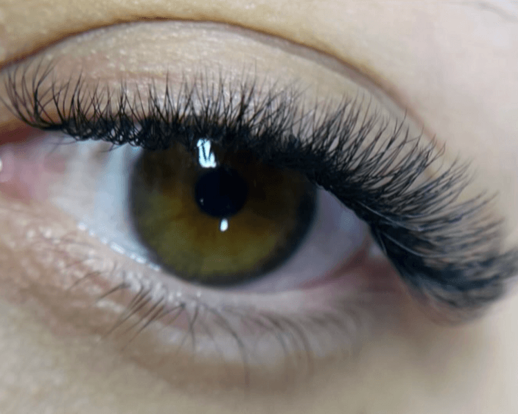 Extensiones TECNOLOGICAS 4D