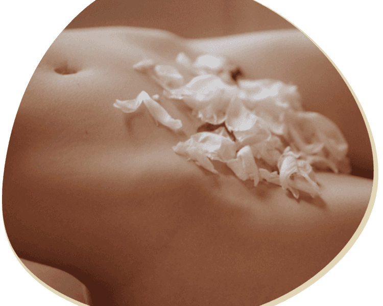 Bikini Brasilero Essential (Completo)