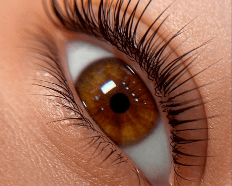 Lifting de pestañas