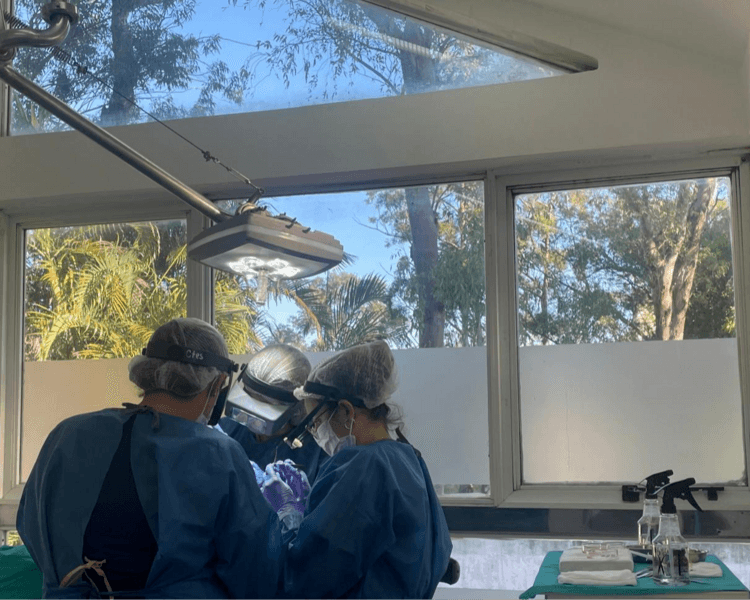 🧑🏻⚕️Implante Capilar – Técnica FUE 🧬