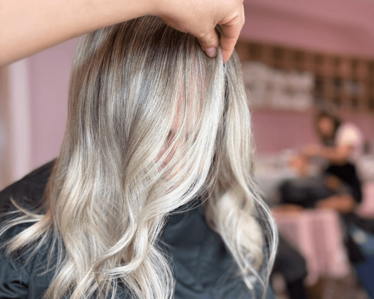 DISEÑO DE COLOR SENIOR