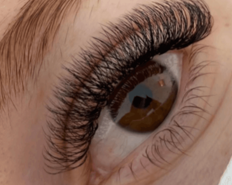 Brasileño Nuevo Set