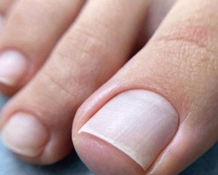 Pedicure completa al seco solo limpieza sin color