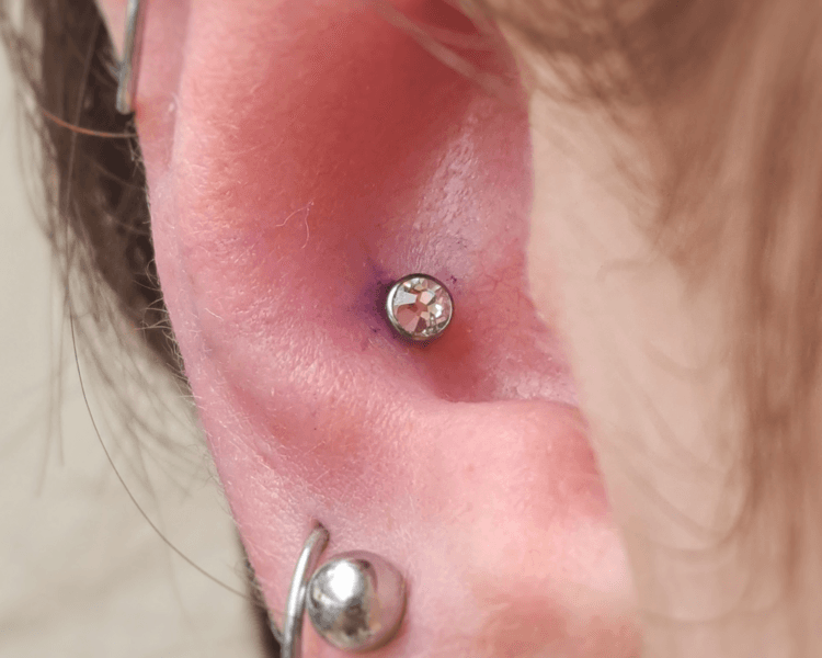Conch Piercing