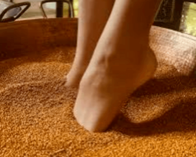 Ritual Holístico Alory