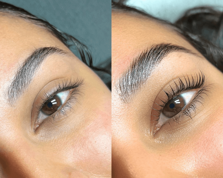 Brow Lash