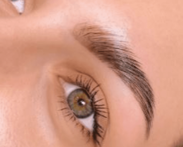 Perfilado y Laminado de Cejas