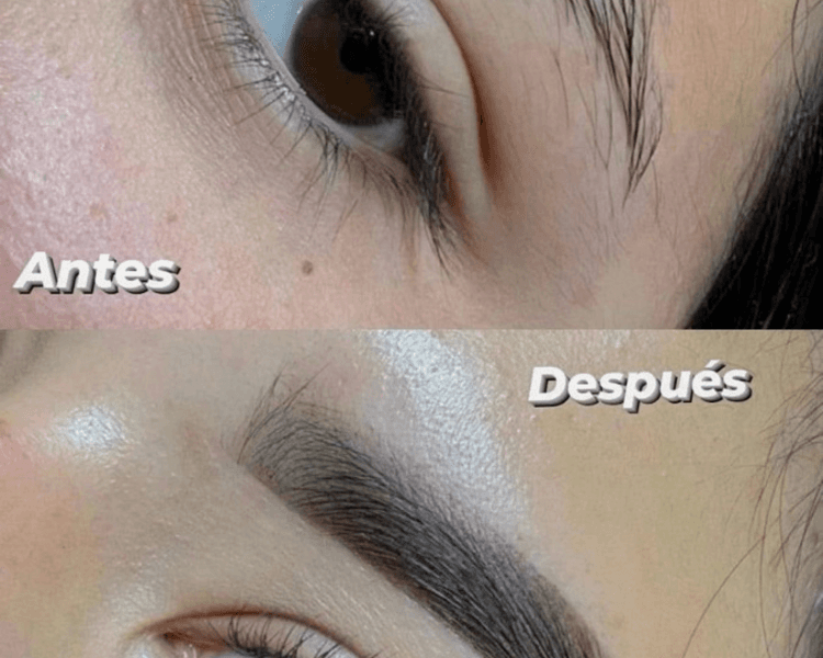 HENNA + PERFILADO DE CEJAS🤩