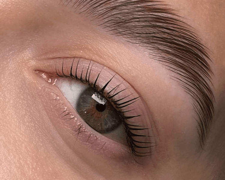 Diseño , laminado y perfilado de cejas