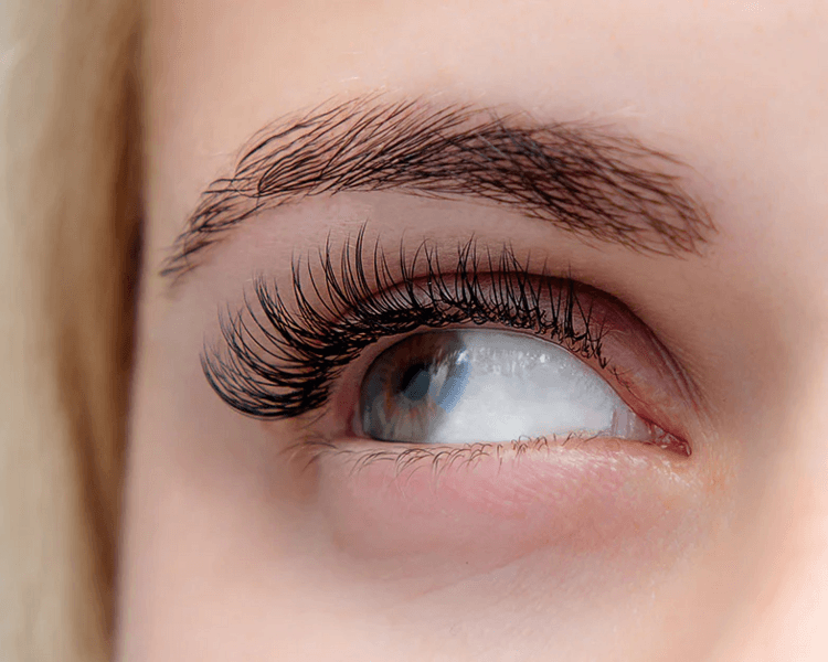 Extención de pestañas: Volumen 2D