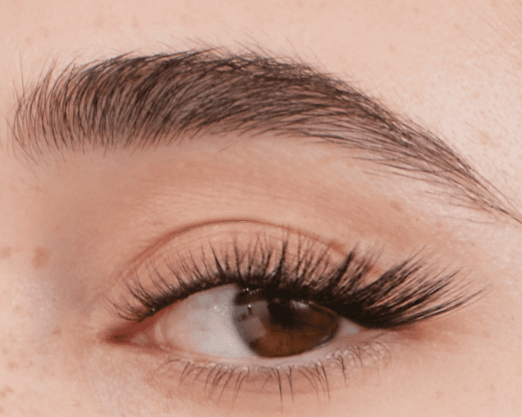 Extención de pestañas: Foxy