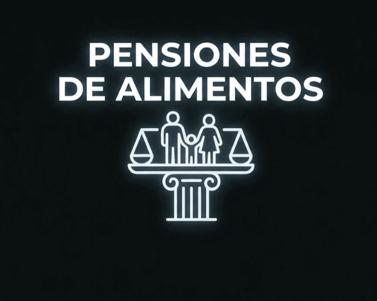 Consulta deuda de alimentos
