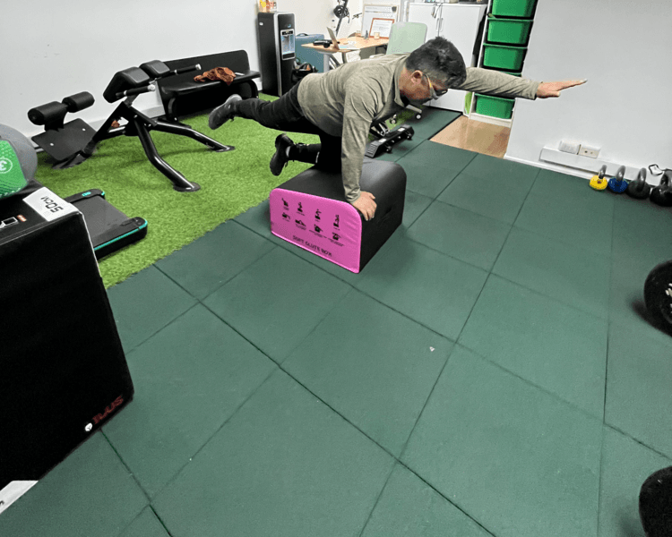 Entrenamiento Cardiovascular