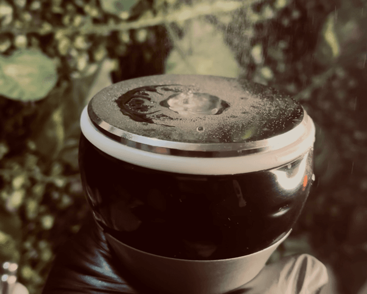 Abdomen & cintura focus