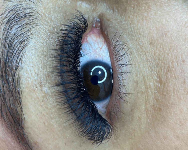 Extensiones de pestañas pelo a pelo 3D(volumen)