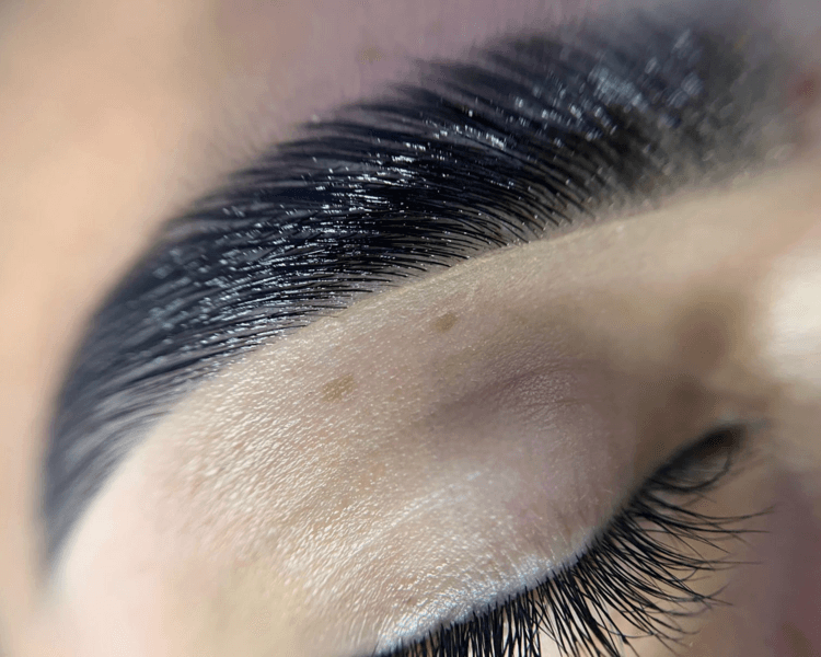 LAMINADO VEGANO CEJAS