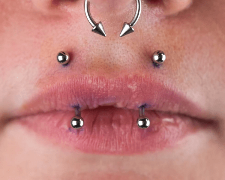 Angel Fangs (colmillos de ángel) Acero quirúrgico Boulevard Fénix