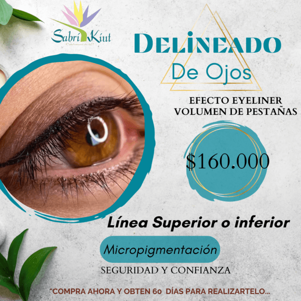 DELINEADO DE OJOS LINEA CLASICA FINA / 1ra sesión
