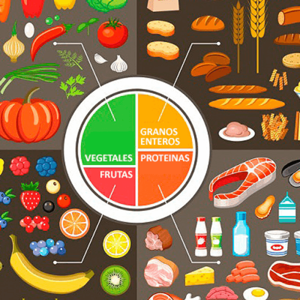 Consulta Nutricional Externo Sharkfit