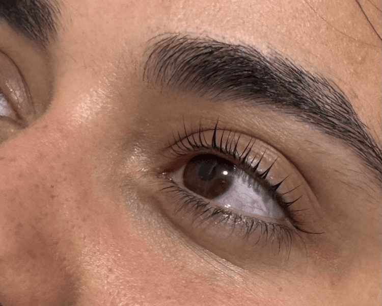 Kapping gel + Diseño y laminado de cejas