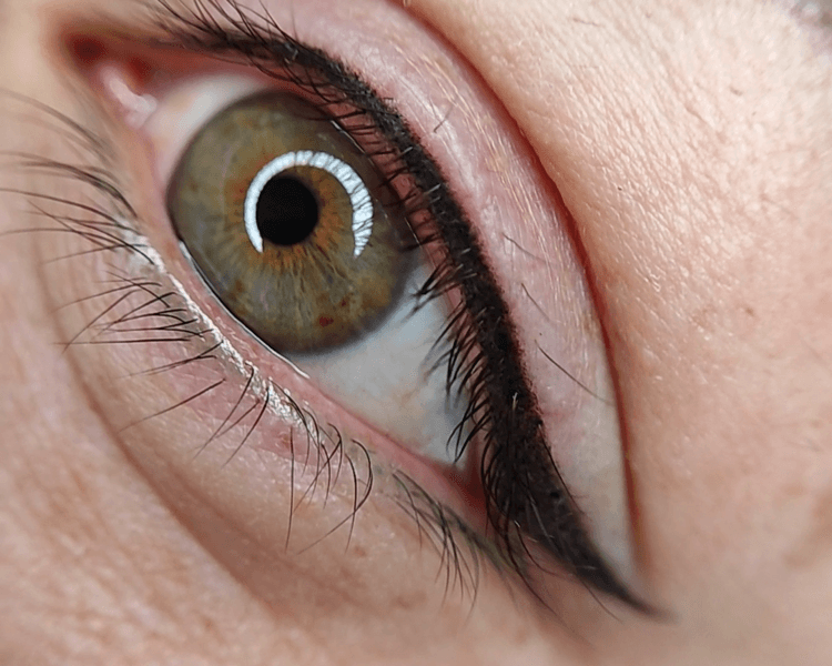 Retoque de Micropigmentación de Eye Liner (45-60 días)