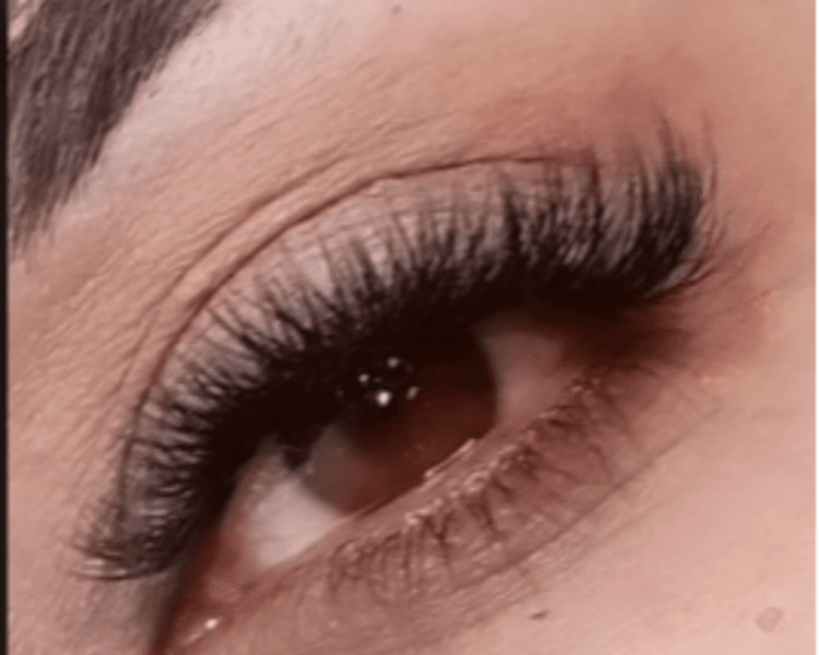 VOLUMEN BRASILERO NUEVO