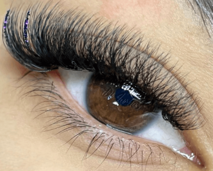 VOLUMEN EGIPCIO SERVICE