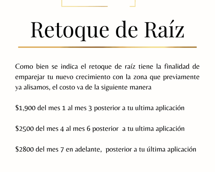 Retoque de raiz del mes 4 al mes 6