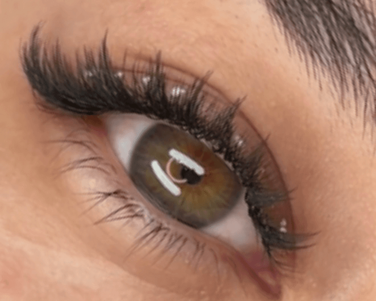 Volumen ANIME 🌸🎴