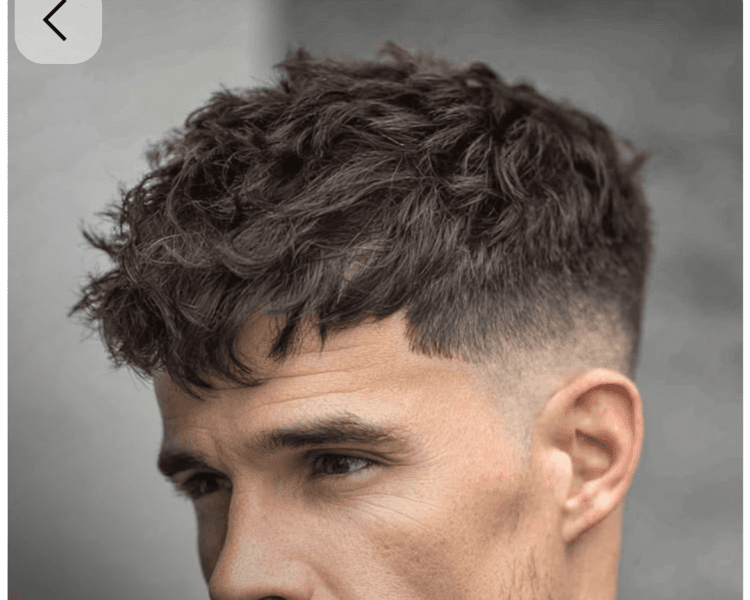 Corte - (Luis Campos)