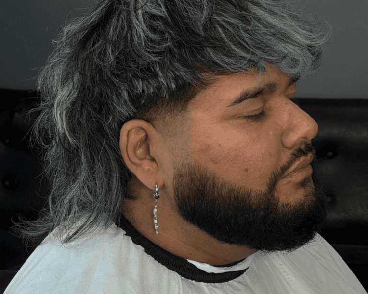 Color visos o mechas