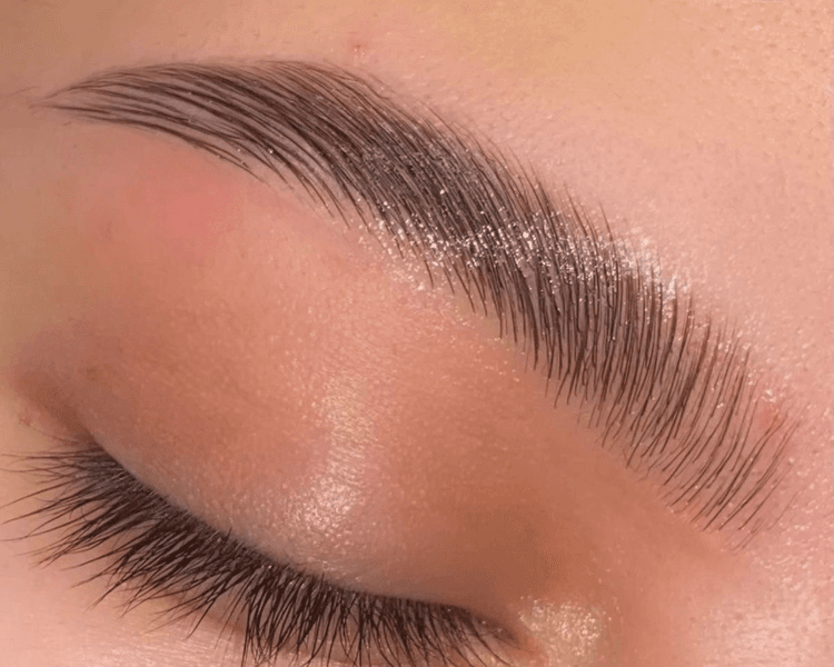 Laminado y nutrición de cejas