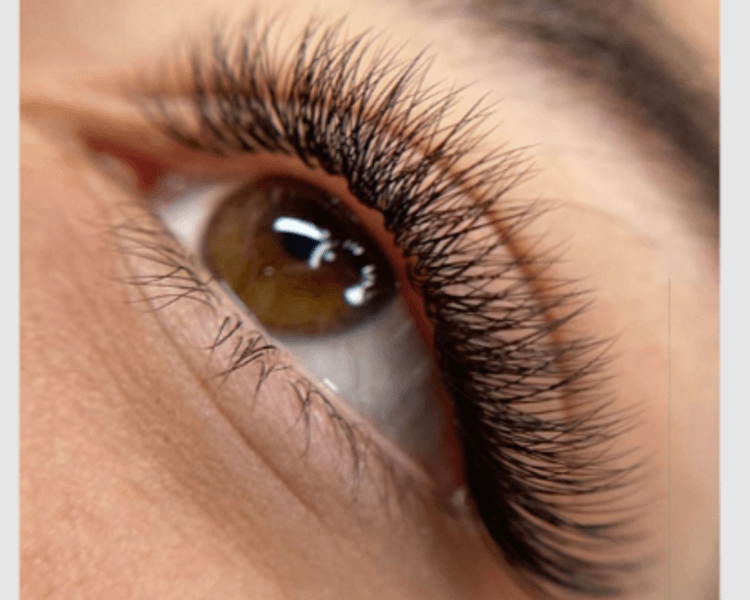 Lash Fibras Tecnologicas