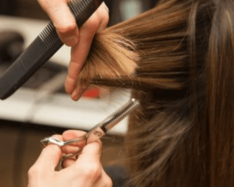 Corte de dama / Haircut woman