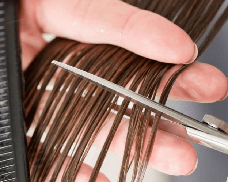 Despunte para estimular crecimiento